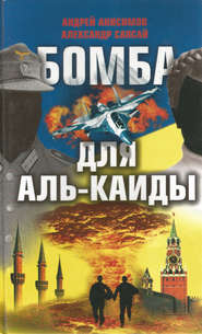 бесплатно читать книгу Бомба для Аль-Каиды автора Андрей Анисимов