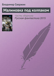 бесплатно читать книгу Малиновка под колпаком автора Владимир Свержин