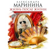 бесплатно читать книгу Жизнь после Жизни автора Александра Маринина