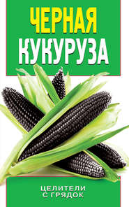 бесплатно читать книгу Черная кукуруза автора Ольга Яковлева