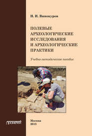 бесплатно читать книгу Полевые археологические исследования и археологические практики автора Н. Винокуров