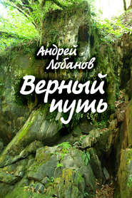 бесплатно читать книгу Верный путь автора Андрей Лобанов