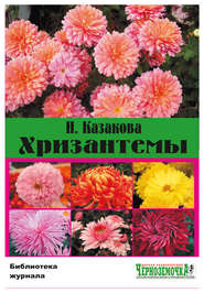 бесплатно читать книгу Хризантемы автора Н. Казакова