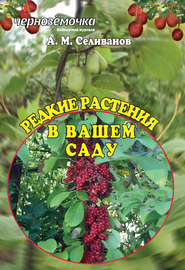бесплатно читать книгу Редкие растения в вашем саду автора Александр Селиванов