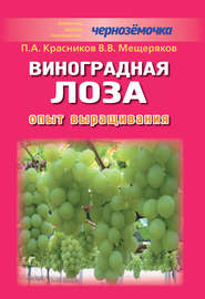 бесплатно читать книгу Виноградная лоза. Опыт выращивания автора Петр Красников