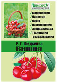 бесплатно читать книгу Вишня автора Р. Ноздрачева