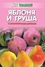 бесплатно читать книгу Яблоня и груша. Технология выращивания автора А. Панкратова