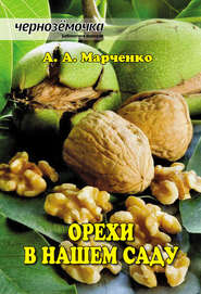 бесплатно читать книгу Орехи в нашем саду автора Андрей Марченко