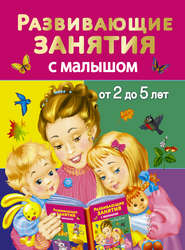 бесплатно читать книгу Развивающие занятия с малышом от 2 до 5 лет автора Валентина Дмитриева