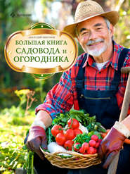 бесплатно читать книгу Большая книга садовода и огородника автора Анатолий Миронов