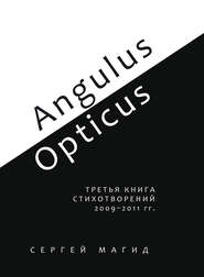 бесплатно читать книгу Angulus / Opticus. Третья книга стихотворений. 2009–2011 гг. автора Сергей Магид