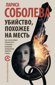 бесплатно читать книгу Убийство, похожее на месть автора Лариса Соболева