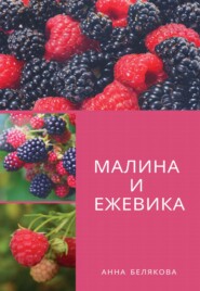 бесплатно читать книгу Малина и ежевика автора Анна Белякова