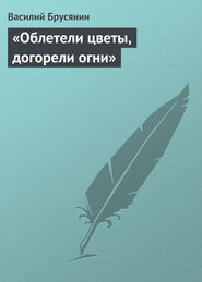 бесплатно читать книгу «Облетели цветы, догорели огни» автора Василий Брусянин