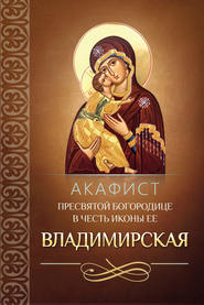 бесплатно читать книгу Акафист Пресвятой Богородице в честь иконы Ее Владимирская автора  Сборник