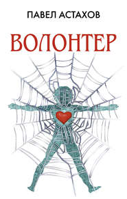 бесплатно читать книгу Волонтер автора Павел Астахов