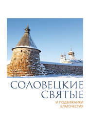 бесплатно читать книгу Соловецкие святые и подвижники благочестия автора П. Пономарев