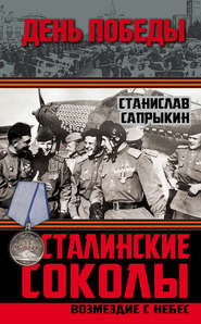 бесплатно читать книгу Сталинские соколы. Возмездие с небес автора Станислав Сапрыкин