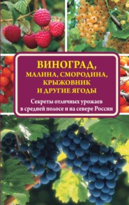 бесплатно читать книгу Виноград, малина, смородина, крыжовник и другие ягоды автора Виктор Жвакин