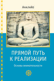 бесплатно читать книгу Прямой путь к реализации. Основы внимательности автора Бхиккху Аналайо