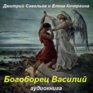 бесплатно читать книгу Богоборец Василий автора Елена Кочергина