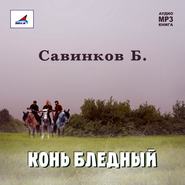 бесплатно читать книгу Конь бледный автора Борис Ропшин
