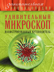 бесплатно читать книгу Удивительный микроскоп. Иллюстрированный путеводитель автора Оксана Мазур