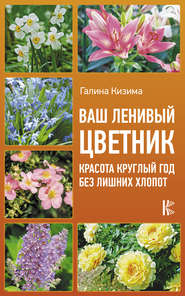 бесплатно читать книгу Ваш ленивый цветник. Красота круглый год без лишних хлопот автора Галина Кизима