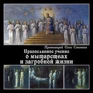 бесплатно читать книгу Православное учение о мытарствах и загробной жизни автора протоиерей Олег Стеняев