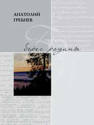 бесплатно читать книгу Берег родины автора Анатолий Гребнев