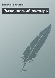 бесплатно читать книгу Рыжаковский пустырь автора Василий Брусянин