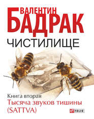 бесплатно читать книгу Чистилище. Книга 2. Тысяча звуков тишины (Sattva) автора Валентин Бадрак