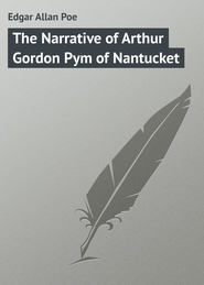 бесплатно читать книгу The Narrative of Arthur Gordon Pym of Nantucket автора Edgar Poe