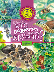 бесплатно читать книгу Кто развесил в лесу кружева? автора Юрий Аракчеев