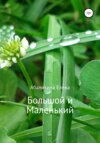 скачать книгу Большой и маленький