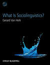 скачать книгу What Is Sociolinguistics?