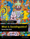 скачать книгу What Is Sociolinguistics?