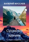 скачать книгу Сухумские хроники