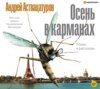 скачать книгу Осень в карманах