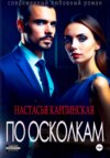 скачать книгу По осколкам