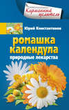 скачать книгу Ромашка, календула. Природные лекарства