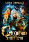 скачать книгу Стихийник: Артефакт душ