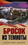 скачать книгу Бросок из темноты