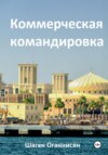 скачать книгу Коммерческая командировка