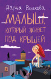 скачать книгу Малыш, который живет под крышей