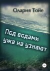 скачать книгу Под водами уже не узнают