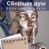 скачать книгу Сборщик душ