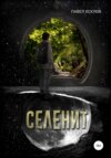 скачать книгу Селенит