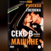 скачать книгу Секс в машине. Русская госпожа. Фемдом рассказ