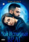 скачать книгу Мой истинный враг